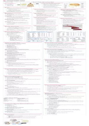 Lecture 3: Biological Basis of MH and Psych Meds