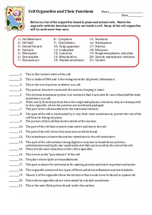 Cell Organelles and Their Functions