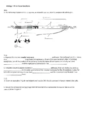 Chapter 15 Regulation of Gene Expression