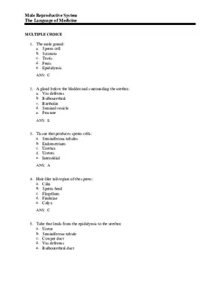 Male Reproductive System - The Language of Medicine Pt1