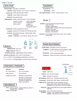 Notes for Biology