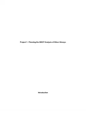 Planning the SWOT Analysis of Silver Airways