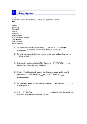 6.9 Urinary System Answers
