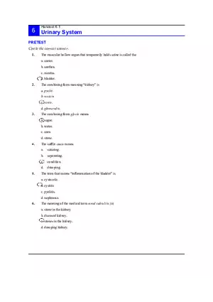 6.1 Urinary System Answers