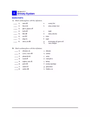 6.2 Urinary System Answers