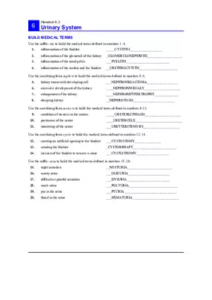 6.3 Urinary System Answers