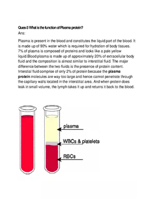 Ques 3 What is the Function of Plasma Protein