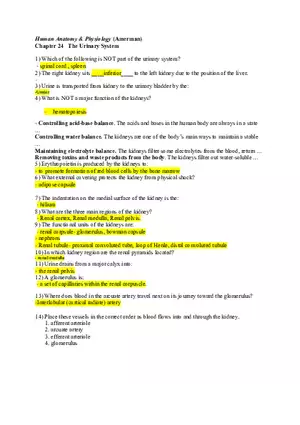 Chapter 24 The Urinary System Key