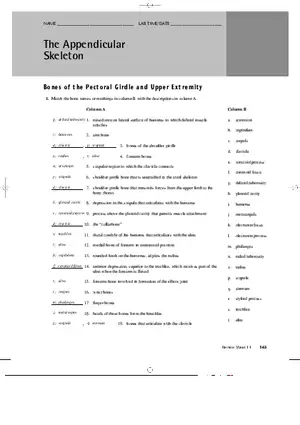 Bones of the Pectoral Girdle and Upper Extremity