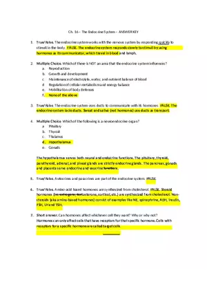 Ch. 16 – The Endocrine System – Answer Key