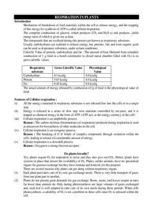 Respiration in Plants
