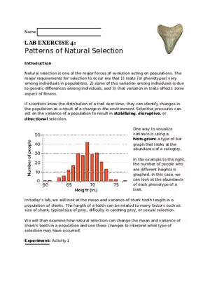 Lab Exercise 4 Patterns of Natural Selection