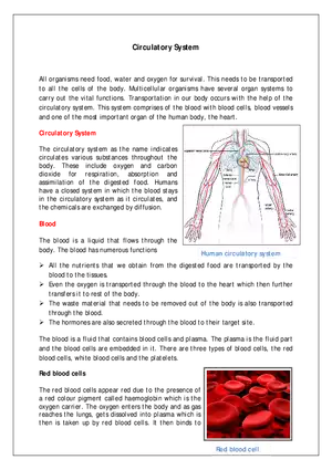 Human Circulatory System