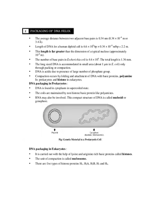 2  Packaging of DNA Helix
