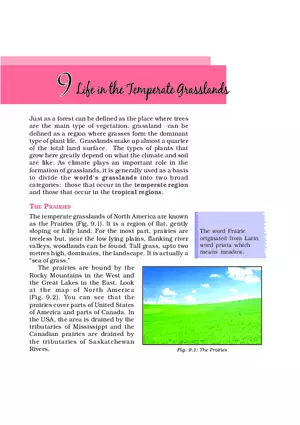 Life in the Temperate Grasslands