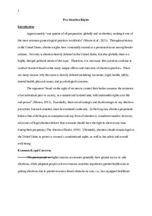 Pro Abortion Right