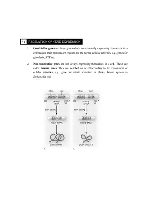 10-11  Regulation of Gene Expression
