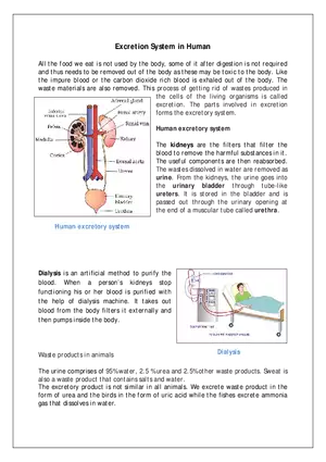 Excretion System in Human