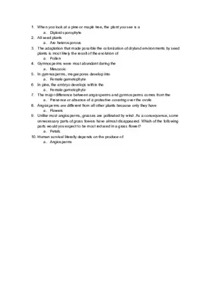 When You Look at a Pine or Maple Tree, the Plant You See is a