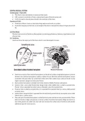 Central Neural System