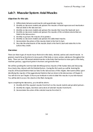 Lab 7 Muscular System Axial Muscles