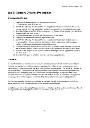 Lab 9 Sensory Organs Eye and Ear