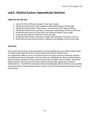 Lab 6 Skeletal System Appendicular Skeleton