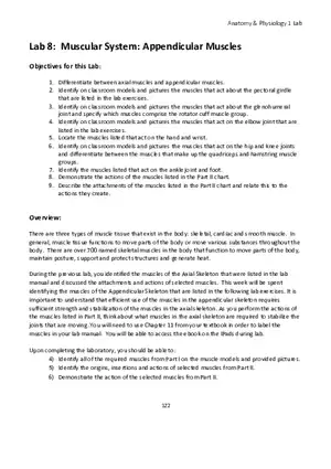 Lab 8 Muscular System Appendicular Muscles