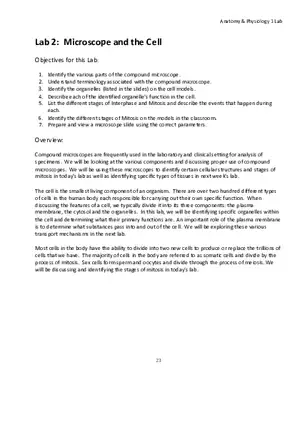 Lab 2 Microscope and the Cell