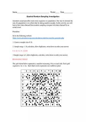 Quadrat Random Sampling Investigation