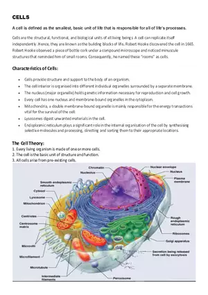 Characteristics of Cells