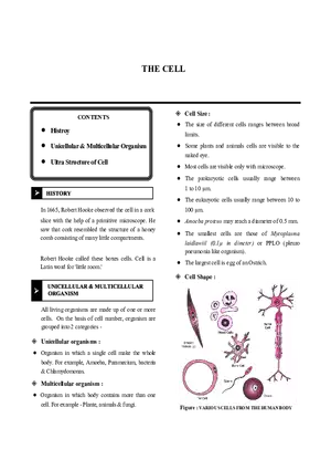 The Cell  Notes