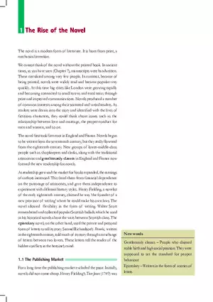 The Rise off the Novel