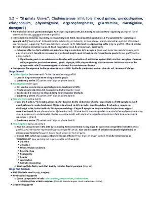 Stigmata  Gravis  Cholinesterase  Inhibitors