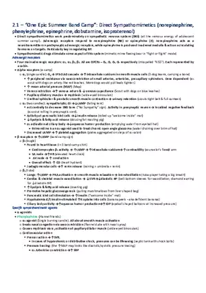 One Epic Summer  Band Camp  Direct Sympathomimetics