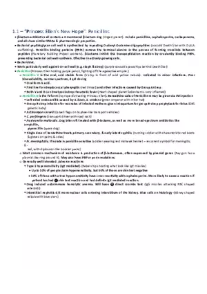 Princess Ellen’s New Hope  Penicillins