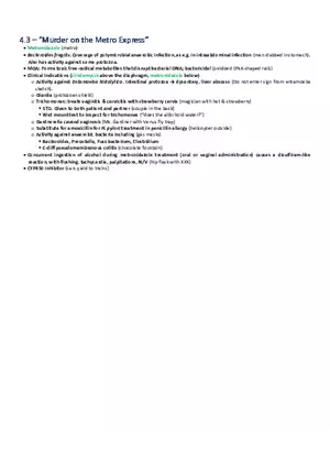 Murder on the Metro Express