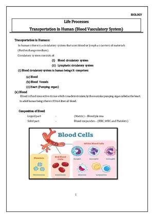 Transportation in Human (Blood Vasculatory System)