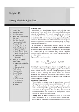 Chapter 11 Photosynthesis in Higher Plants