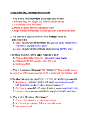 Study Guide #18, The Respiratory System