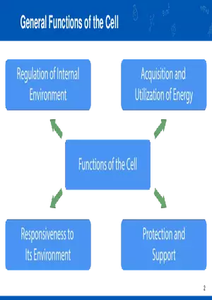 General Functions of the Cell