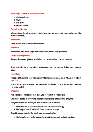Four Major Classes of Macromolecules