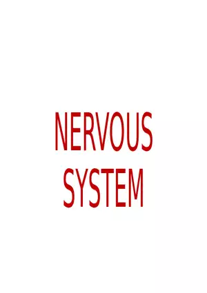 Nervous System Lecture
