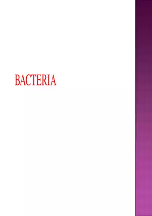 Bacteria