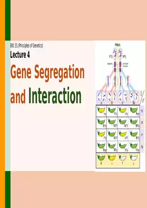 Gene Segregation and Interaction