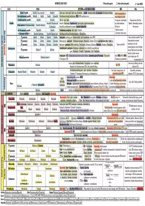 Antibiotics Cheat Sheet (Table)