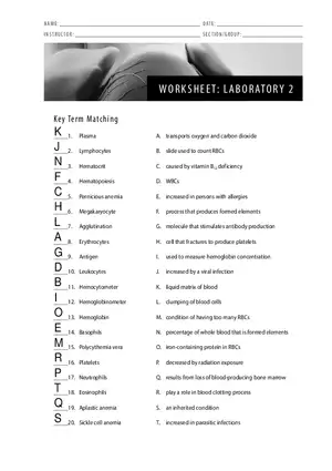 Blood Worksheet Lab 2