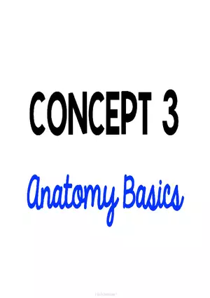 Anatomy Concept 3 Anatomy Basics