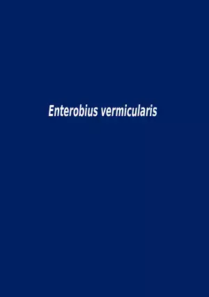 Enterobius Vermicularis