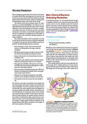 Microbial Metabolism